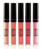 5 PCS LIP GLOSS SET PROFESSIONAL HIGH SHINE SHIMMERING MUST HAVE SHADES