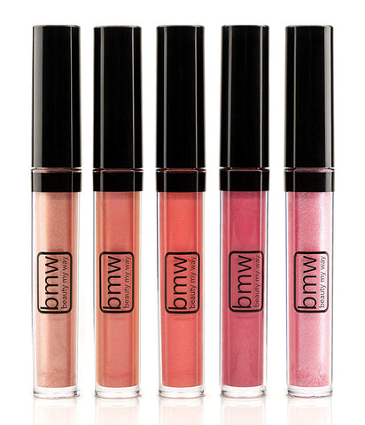 5 PCS LIP GLOSS SET PROFESSIONAL HIGH SHINE SHIMMERING MUST HAVE SHADES